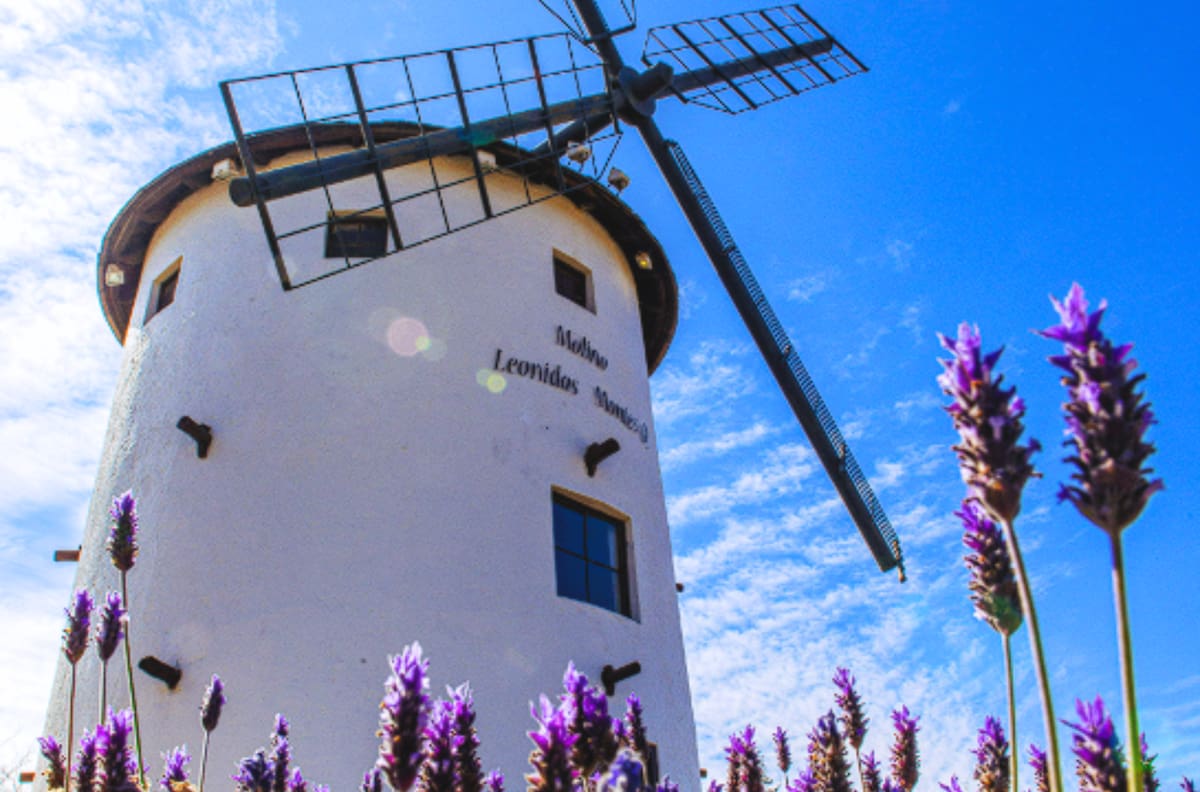 Parece sacado de Europa: el impresionante molino de viento escondido en Lo Barnechea y que puedes visitar gratis