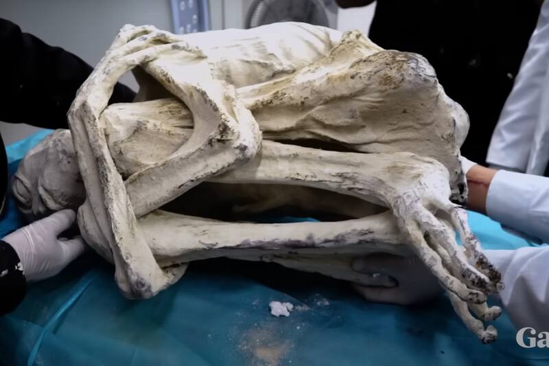 Gracias a las algas diatomeas, estos especímenes de más de 1.800 años han mantenido un excelente estado de conservación.