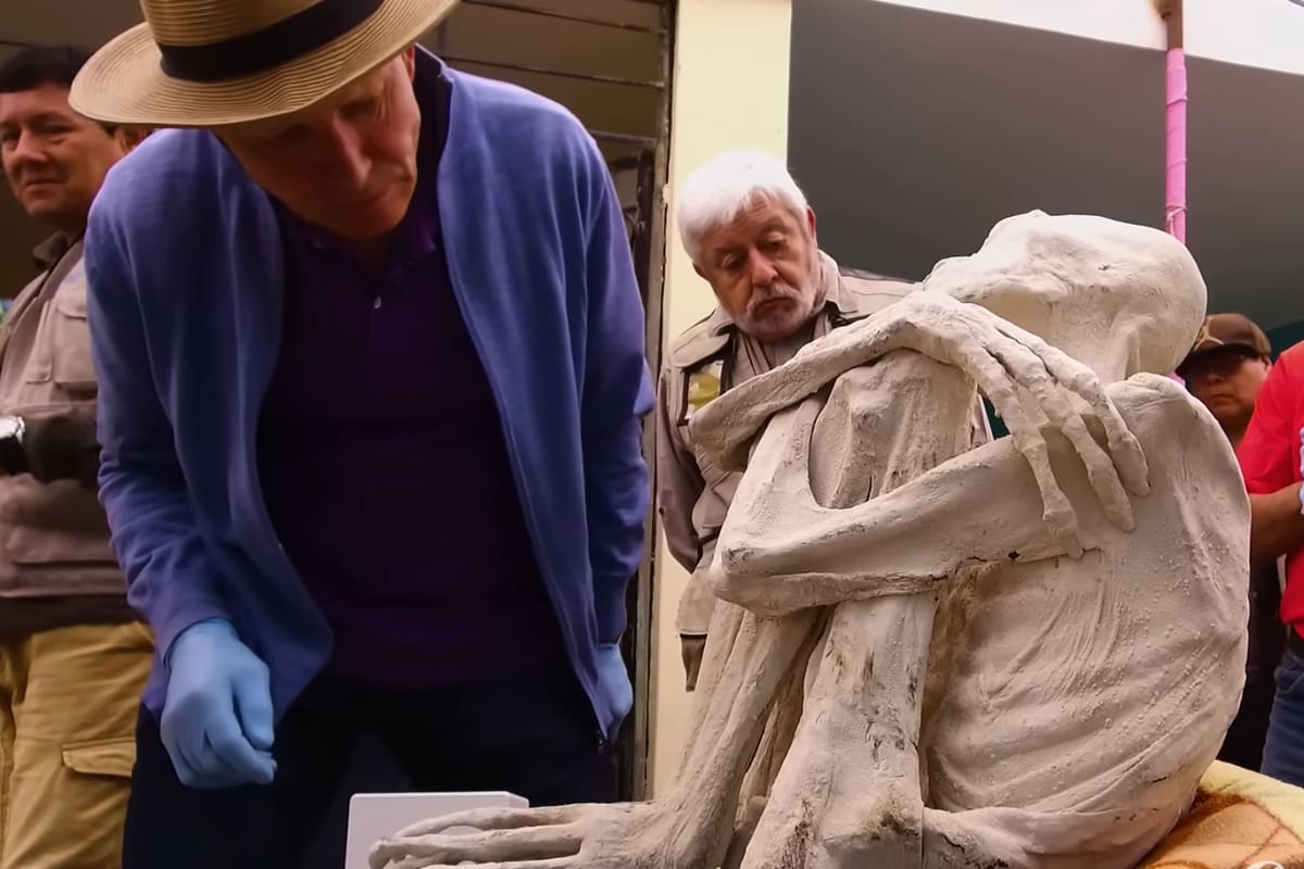 Los fósiles tienen extremidades de tres dedos largos y una particular cabeza alargada que le dan un aspecto muy lejano al de los seres humanos.