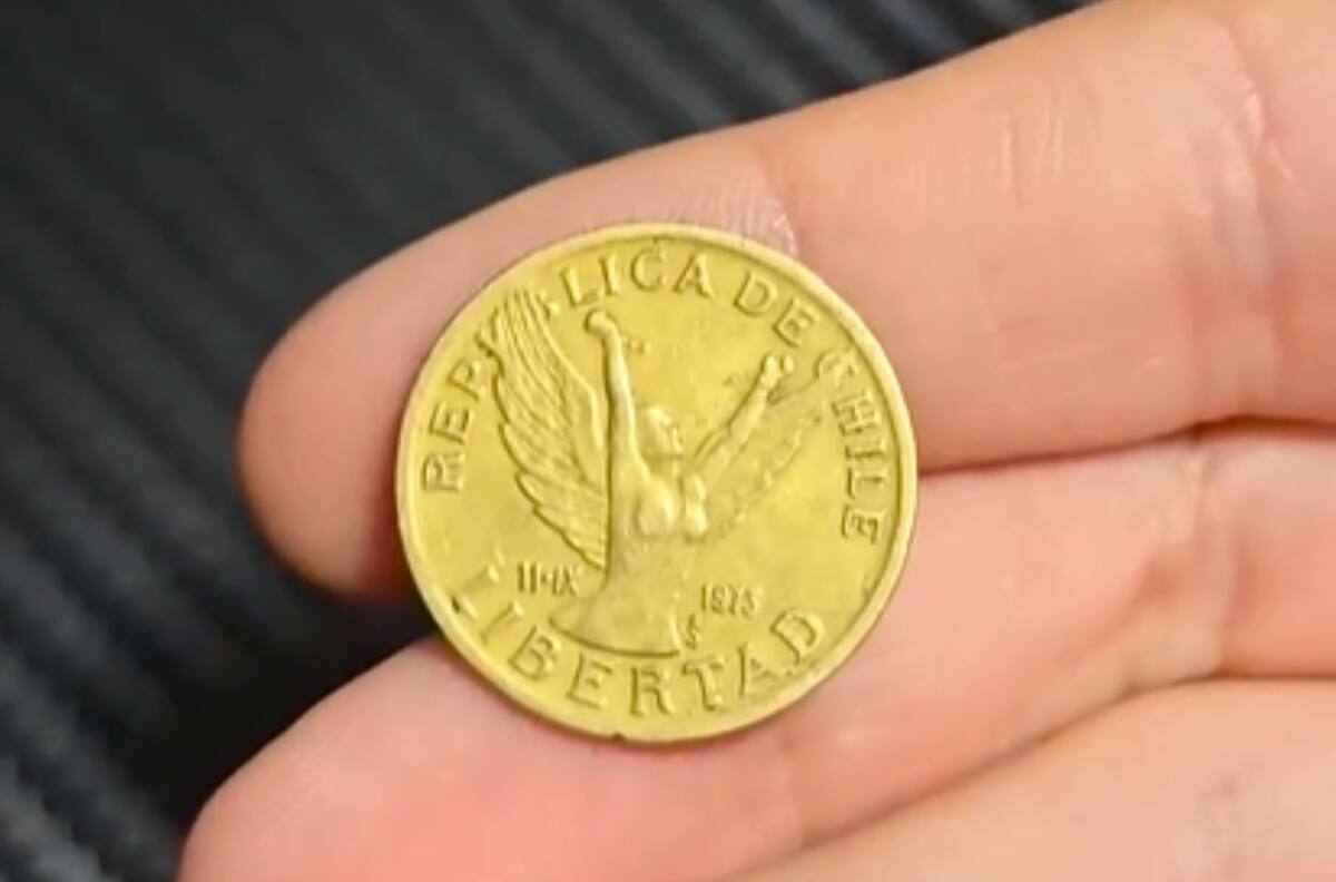 Revisa si la tienes: esta moneda chilena de $10 acuñada en 1985 podría valer hasta $10.000