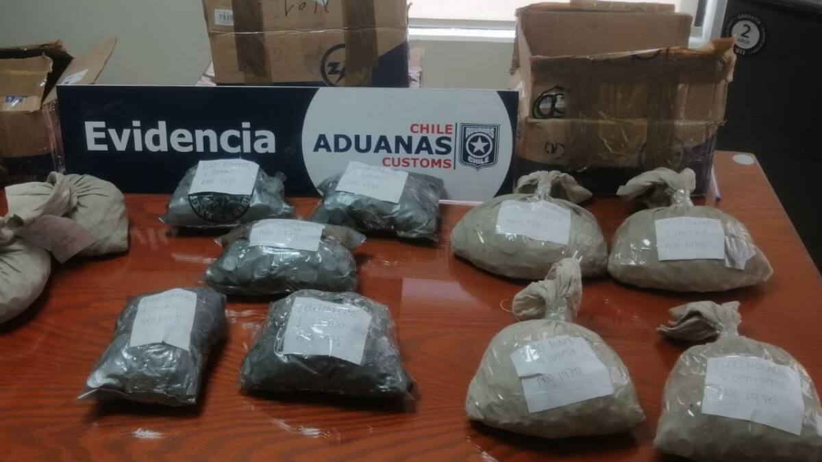 Aduana incauta más de 335 mil monedas chilenas de colección y billetes argentinos: Fue valorizado en más de US$63.800