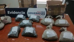 Aduana incauta más de 335 mil monedas chilenas de colección y billetes argentinos: Fue valorizado en más de US$63.800