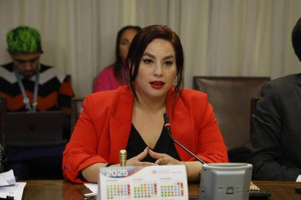 La diputada era hermana del hincha fallecido en el Estadio Monumental.