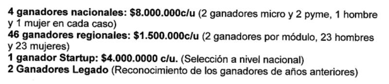 Montos del Premio Emprende 2024 de Banco Estado.