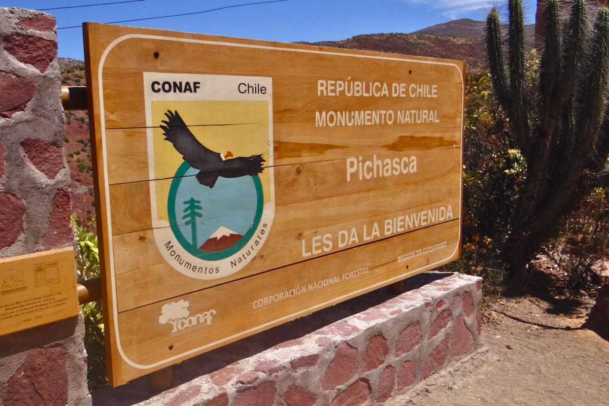 Conoce el horario de ingreso del atractivo panorama que esconde la Región de Coquimbo. Foto: Conaf.