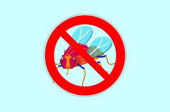 Dile adiós a las moscas con estos trucos caseros