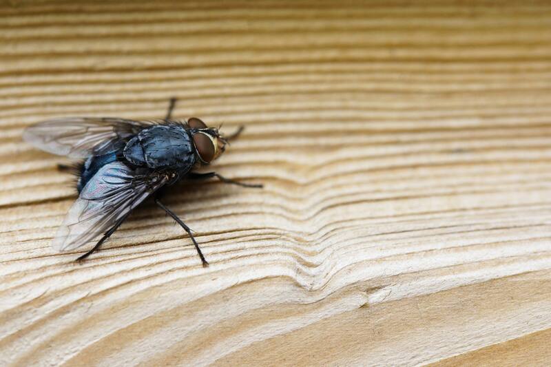 Conoce paso a paso cómo eliminarlas.