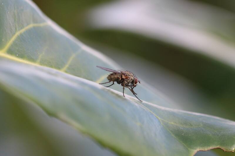 Este truco funciona durante 48 horas.