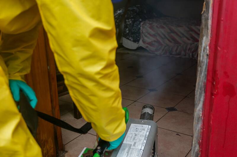 Uno de los métodos de prevención del mosquito del dengue es fumigar constantemente con insecticidas.