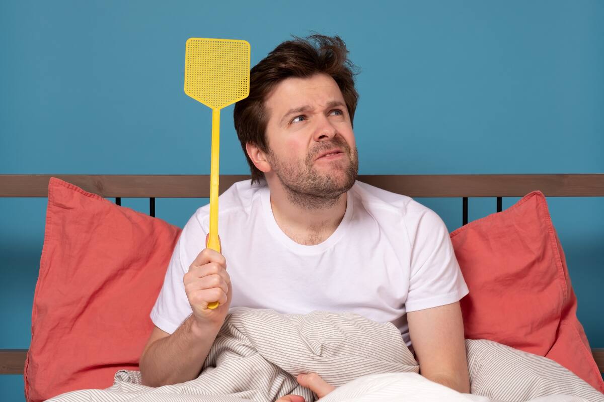 Conoce cómo evitar que estos insectos continúen en tu hogar.