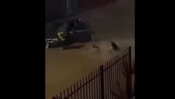 VIDEO | Mujer es empujada al agua tras pasar repetidas veces con su auto por lugar inundado en Coronel