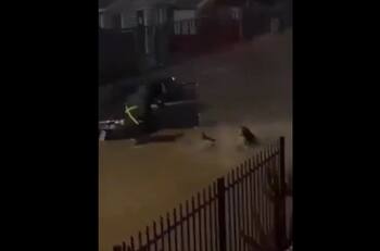 VIDEO | Mujer es empujada al agua tras pasar repetidas veces con su auto por lugar inundado en Coronel