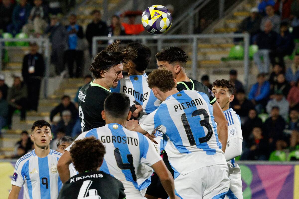 La selección albiceleste es la de mayor tasación de este campeonato. Un factor que garantiza, en un alto porcentaje, una campaña positiva.