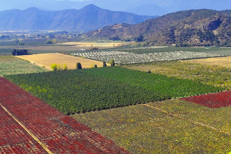 La empresa se sometió a una reorganización judicial para ponerse al día con sus deudas y cumplir lo acordado con sus clientes.