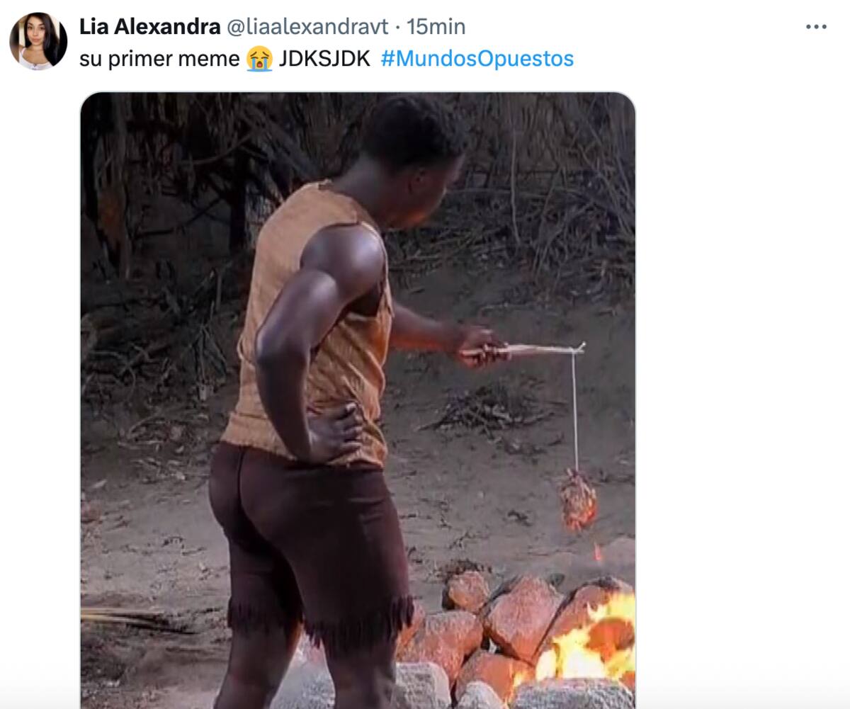 Los mejores memes.