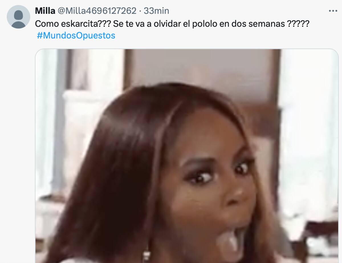 Los mejores memes.