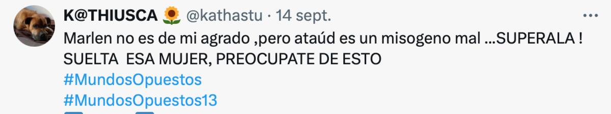 Seguidores se lanzan contra Daúd Gazale.