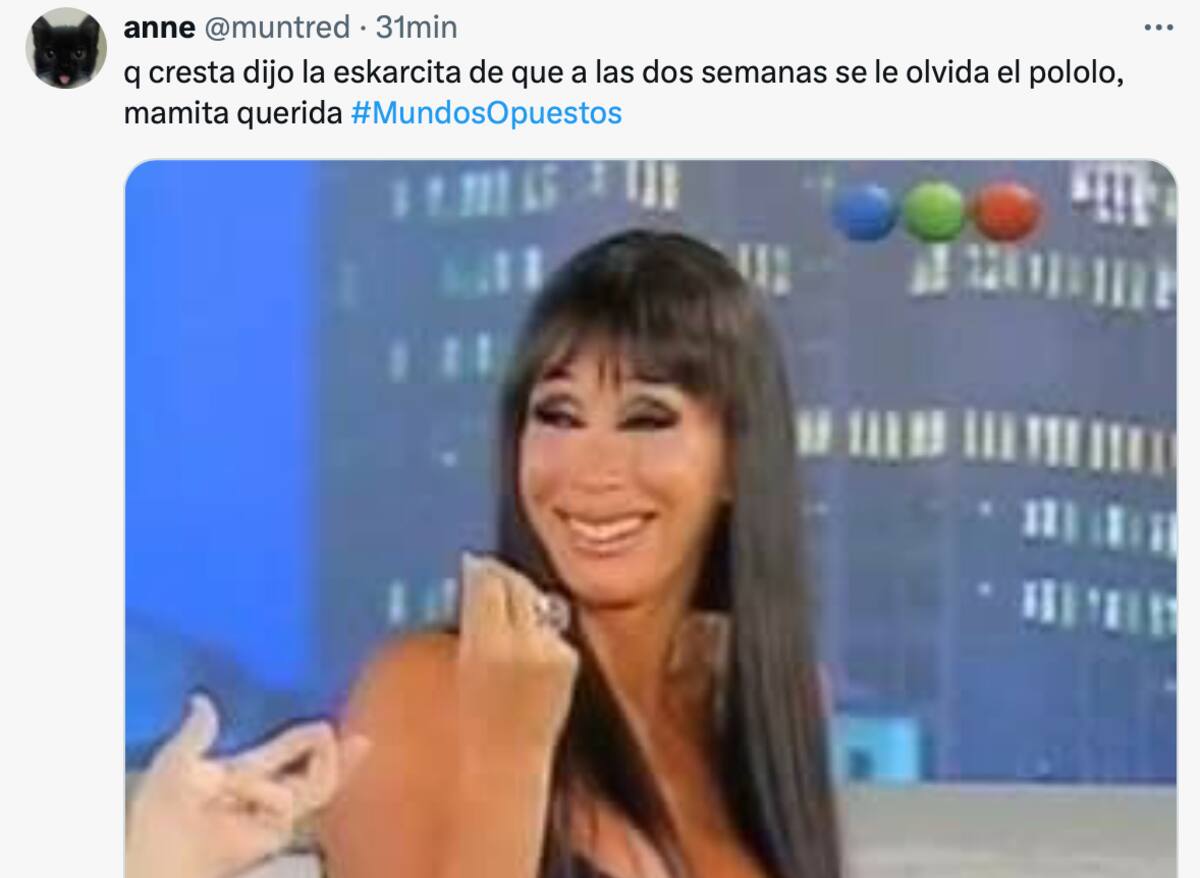 Los mejores memes.