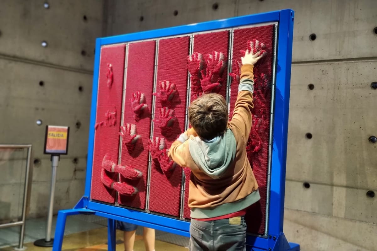 El museo busca conectar el aprendizaje de la ciencia a través de la exploración, los sentidos, y el juego.