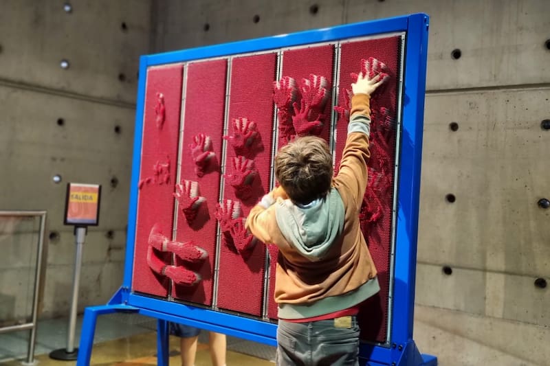 El museo busca conectar el aprendizaje de la ciencia a través de la exploración, los sentidos, y el juego.