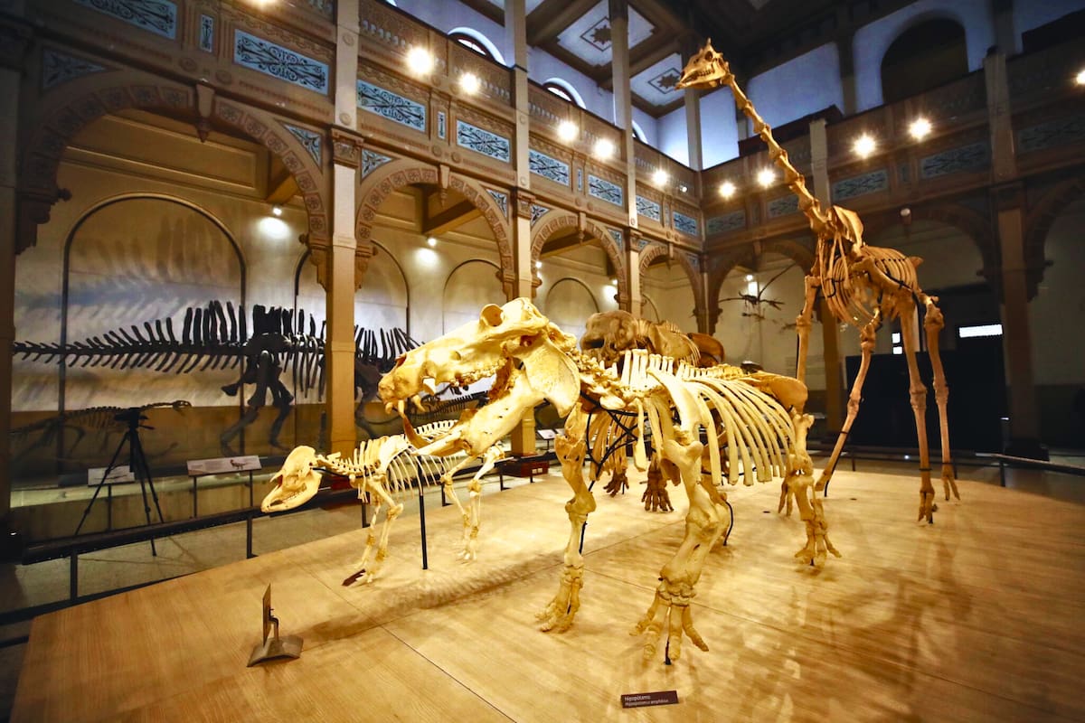 El recinto está llevando a cabo una nueva exposición para las vacaciones de invierno en Santiago. Foto: Ministerio de las Culturas, las Artes y el Patrimonio.
