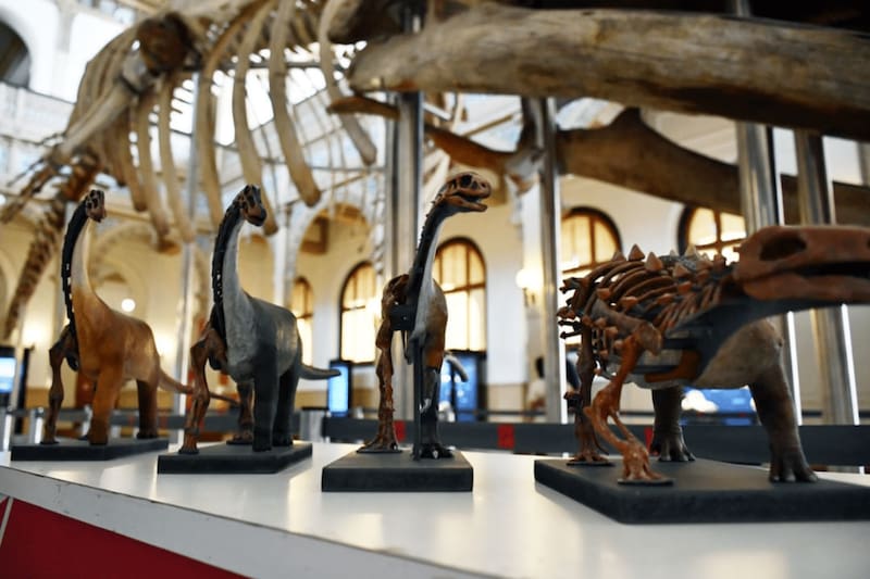 La exposición Dinosaurios del Sur del Mundo estará presente todo este verano en el recinto.
Foto: Santiago Secreto.