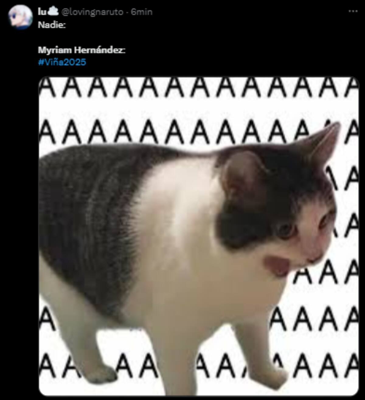 Los memes que dejó la presentación de Myriam Hernández.