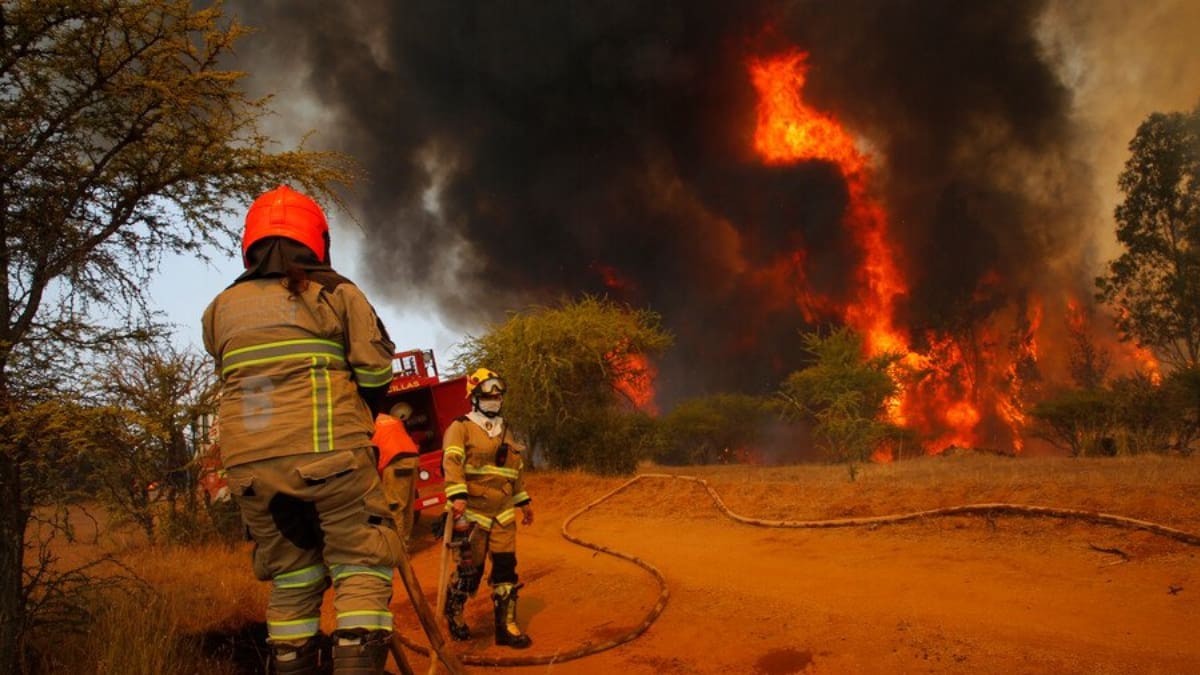 Incendio forestal en Til Til consume 200 hectáreas: Declararon alerta roja en la comuna
