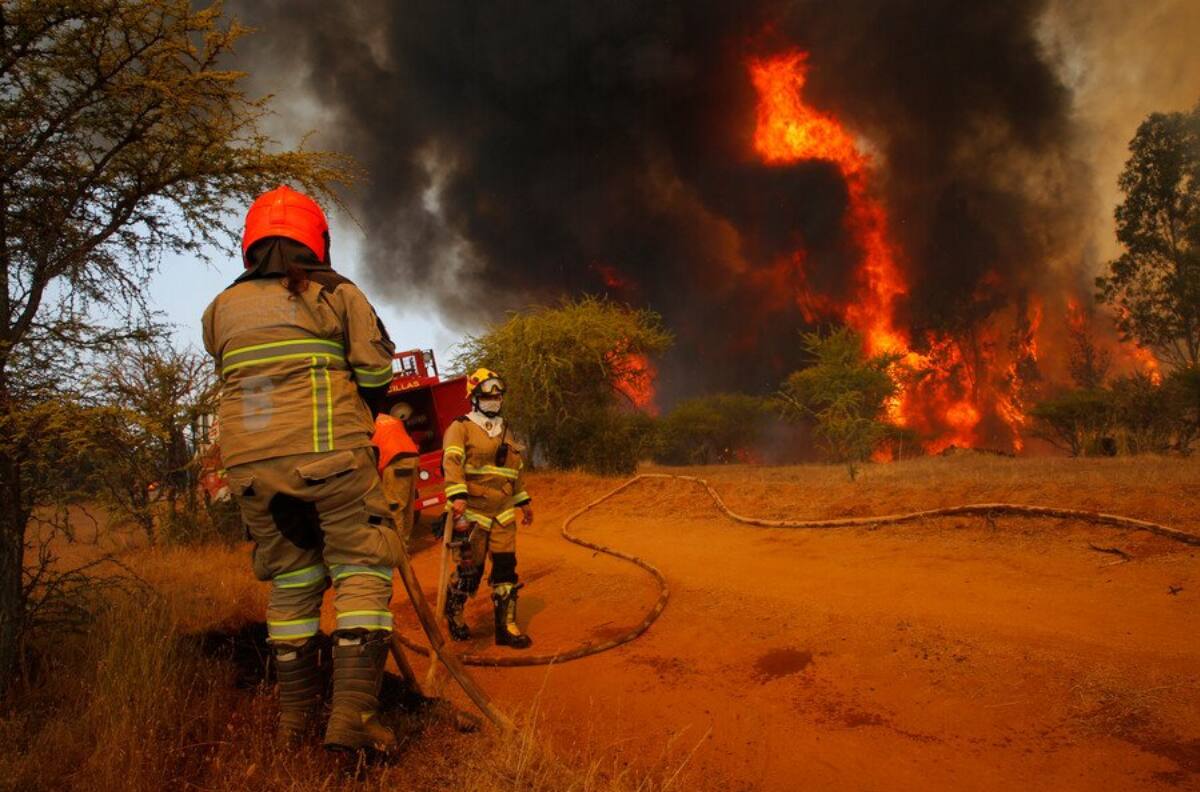 Incendio forestal en Til Til consume 200 hectáreas: Declararon alerta roja en la comuna