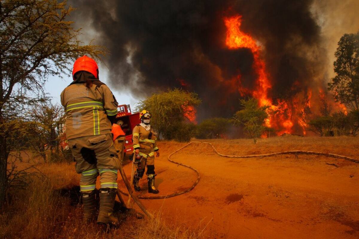 Equipo de emergencias trabaja para detener totalmente el avance del fuego.