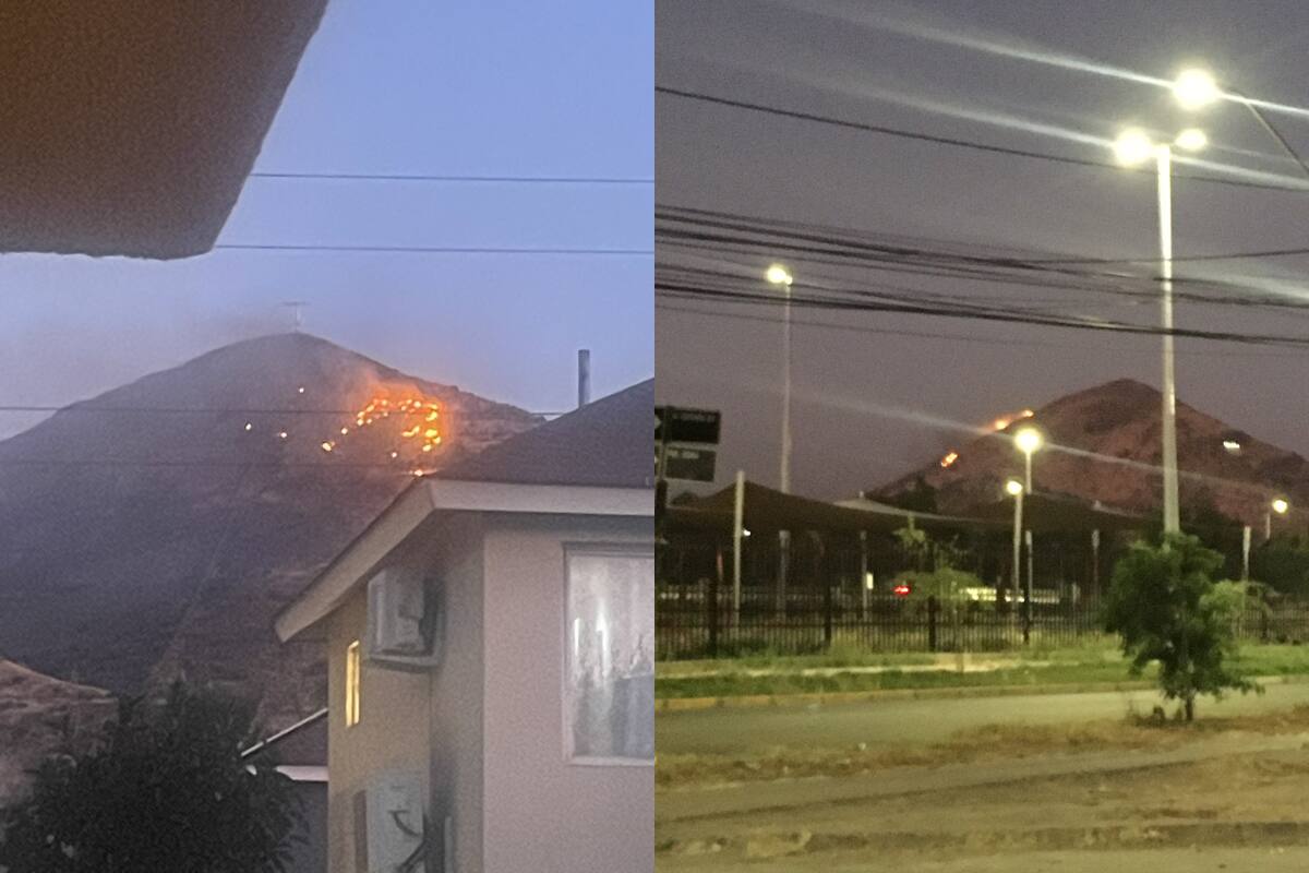 Encienden alertas en Valle Lo Campino por incendio forestal en cercanías.