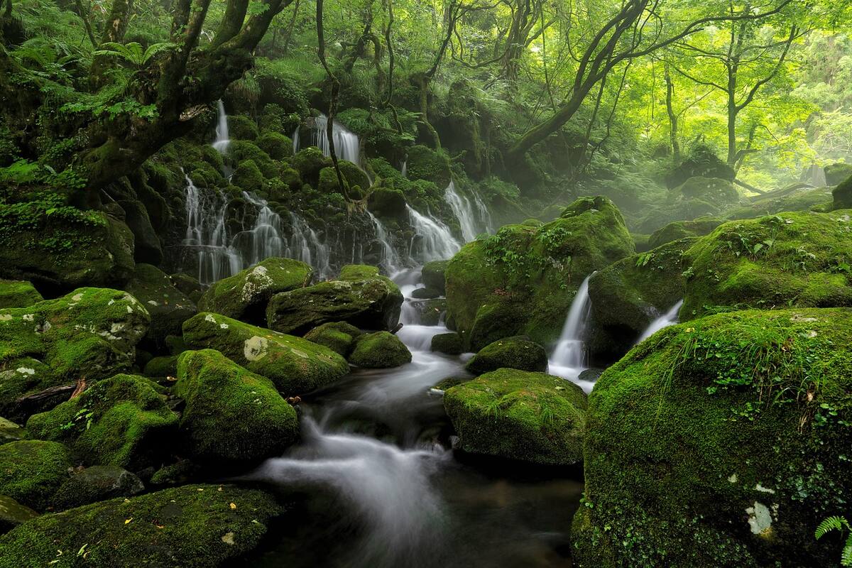 Estar en contacto con la naturaleza ayuda a eliminar la pereza.