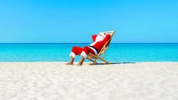 Temperaturas históricas: Hasta 34° se esperan en Chile durante esta Navidad