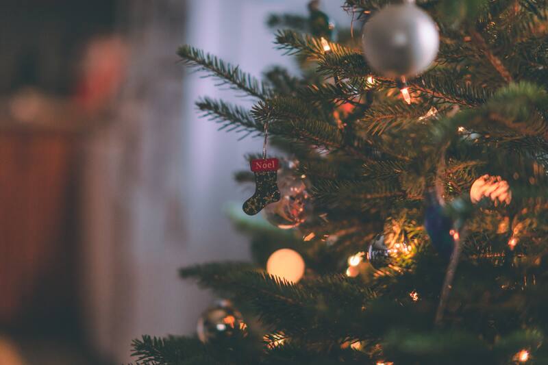 Descubre dónde es mejor poner el árbol según el Feng Shui.