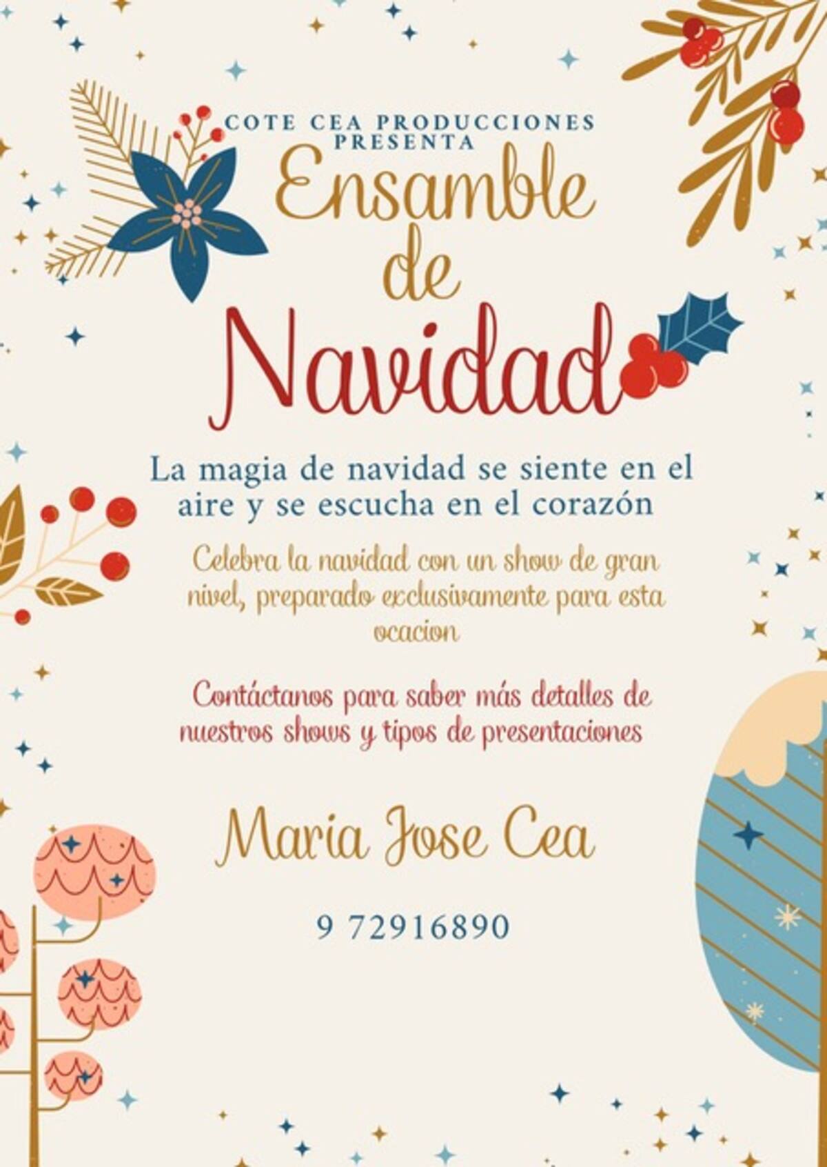 Detalles de su show