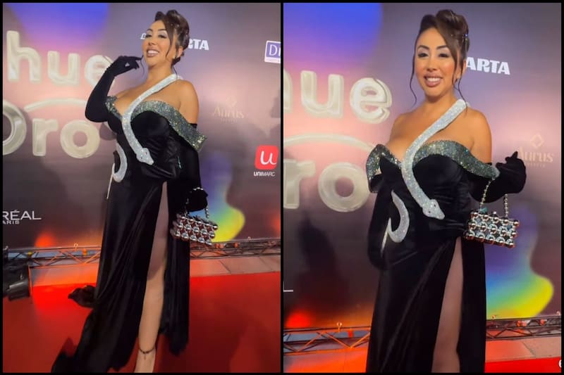 El vestido utilizado por la influencer en la alfombra roja.
