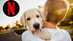 Día del Perro: La emotiva película basada en hechos reales que no es Hachiko, pero te hará amar aún más a tu mascota