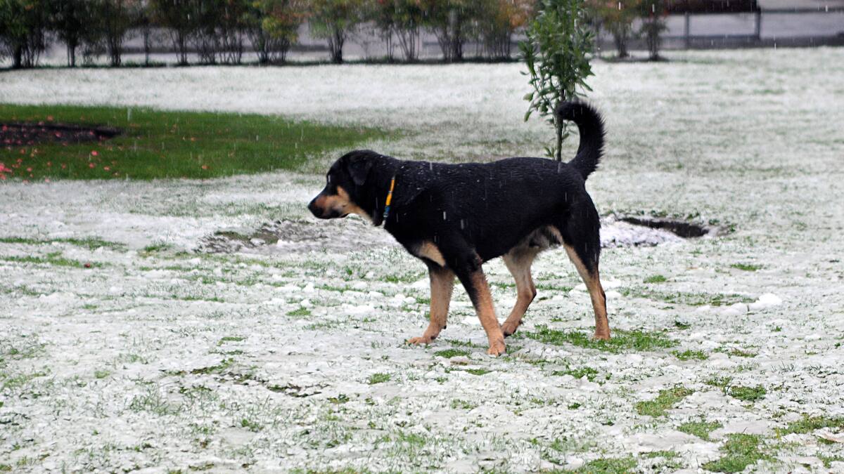 DMC declara alerta por viento blanco de hasta 110 km/h y nevadas en al menos tres regiones del norte de Chile
