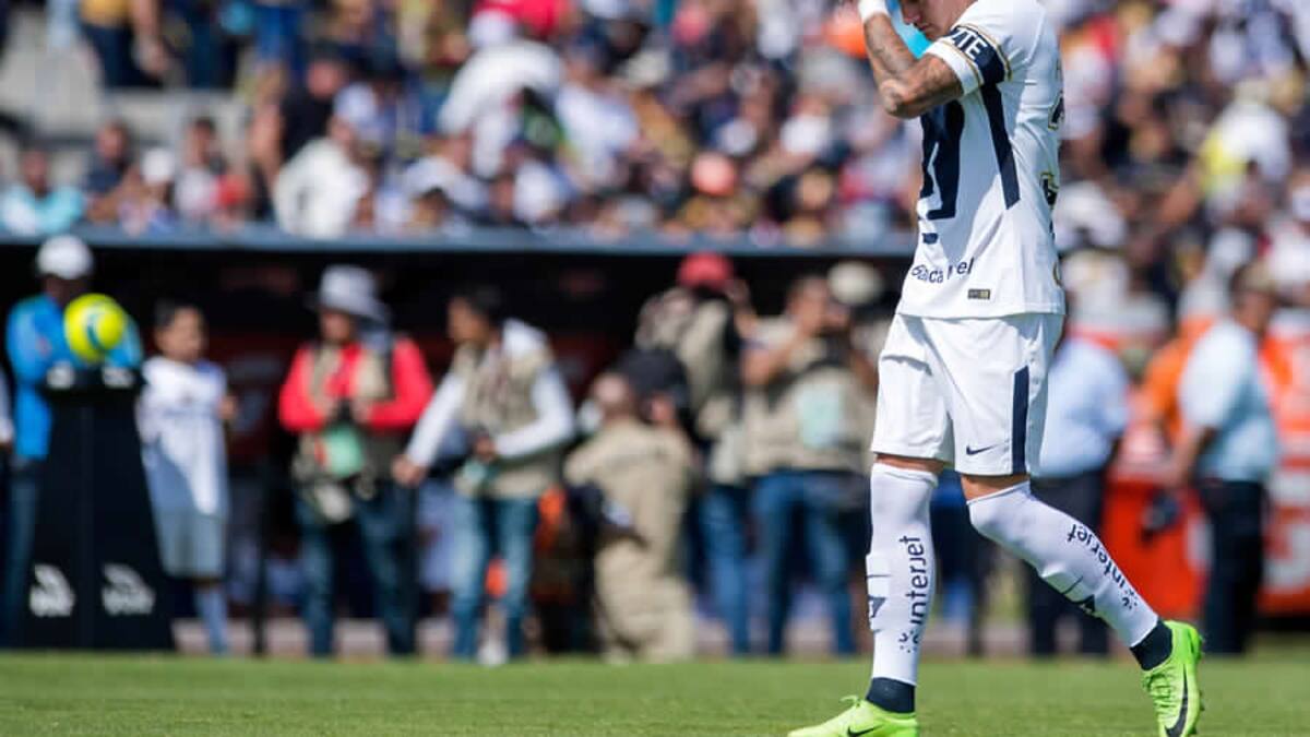 La particular forma en que DT de Tigres justificó agresión de Nicolás Castillo