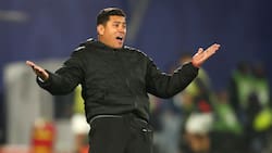 Expertos en la métrica