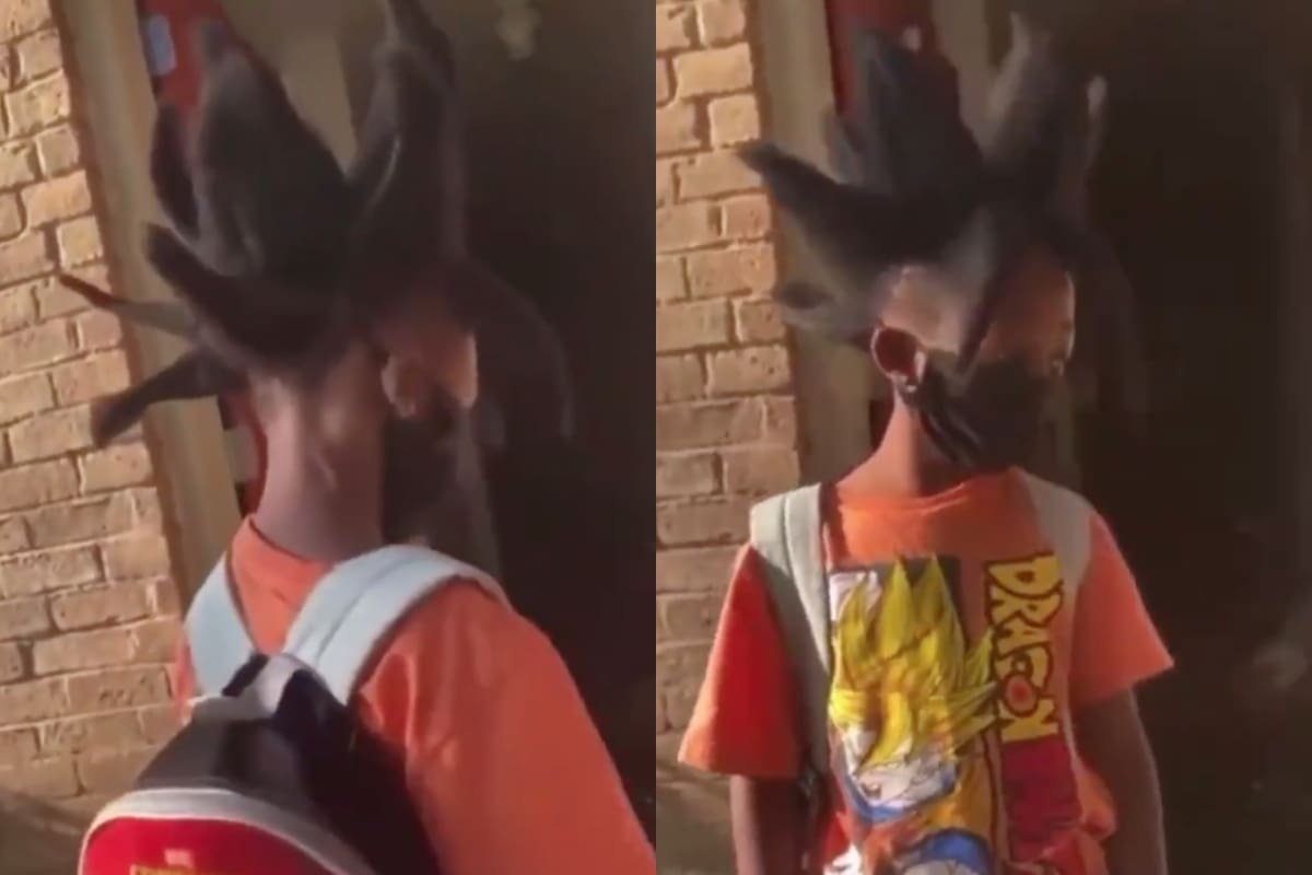 Intentan replicar el cabello de Goku: este fue el resultado.