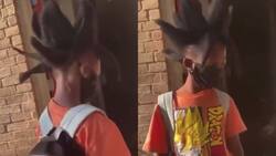 VIDEO | Niño se hace viral al cortarse el cabello como Goku