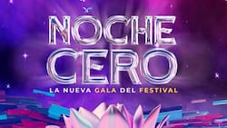 Hay ”Noche Cero”: Así será el programa que reemplazaría la Gala del Festival de Viña 2024