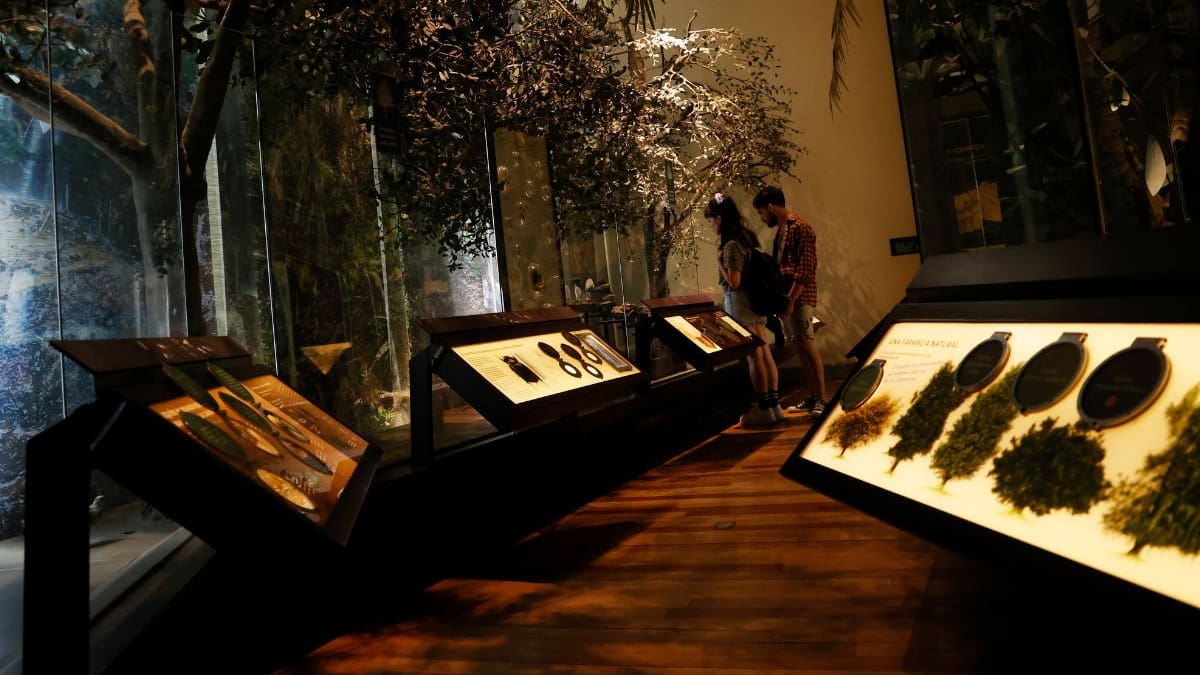 Imperdible en la RM: Cinco lugares poco conocidos que podrás visitar en la Noche de Museos 2025