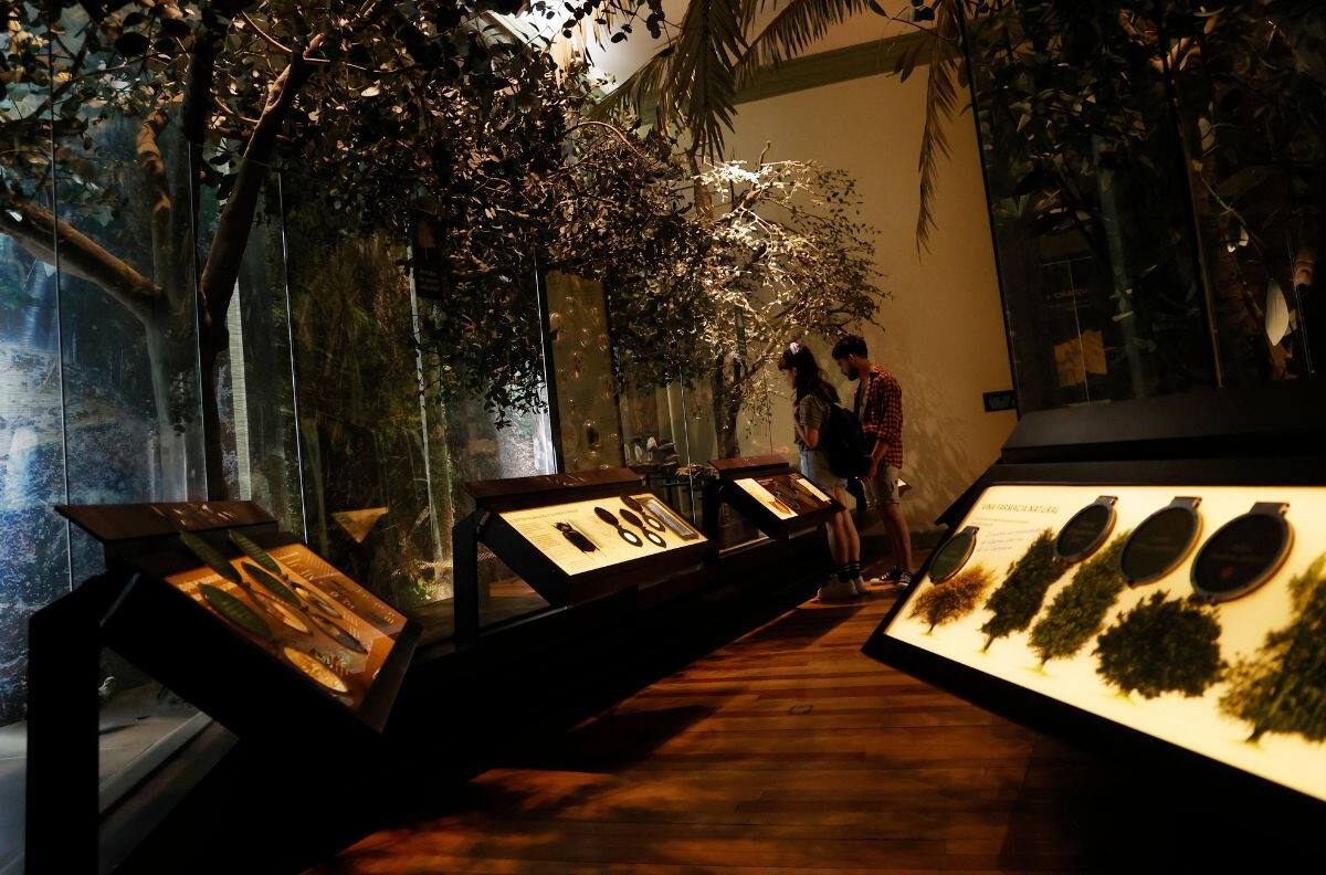 Imperdible en la RM: Cinco lugares poco conocidos que podrás visitar en la Noche de Museos 2025