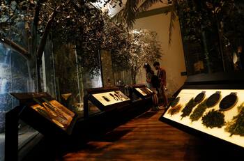 Imperdible en la RM: Cinco lugares poco conocidos que podrás visitar en la Noche de Museos 2025