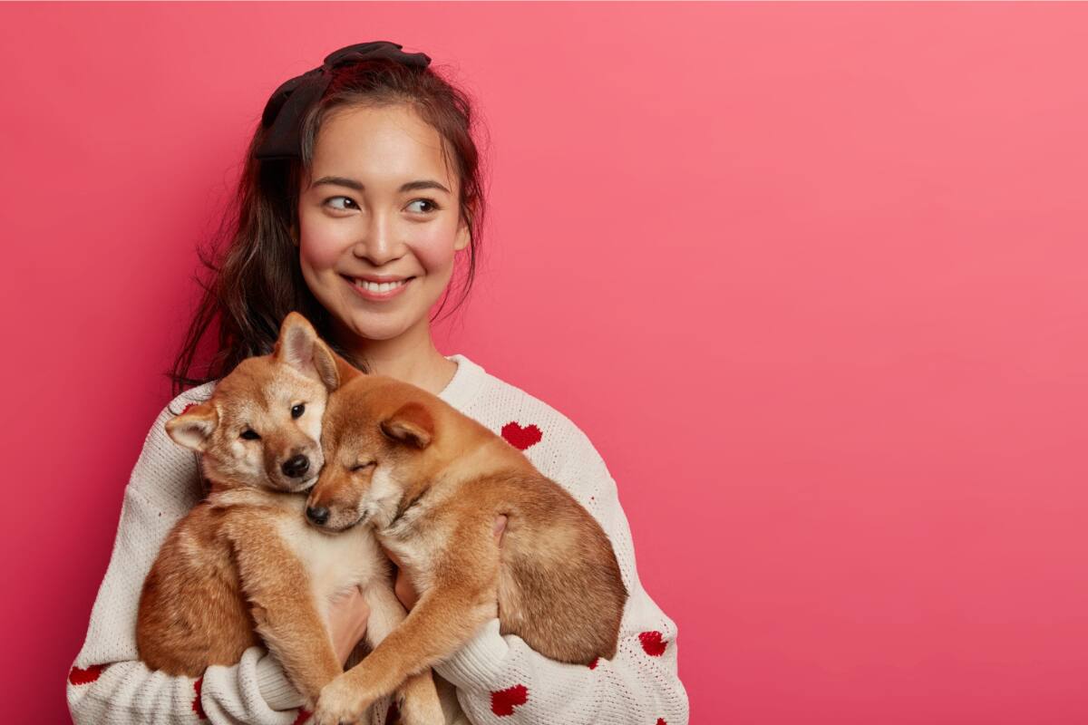 Revisa la elección que realizó ChatGPT.