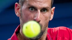 No solo Copa Davis: las renuncias que han marcado el movido comienzo de temporada de Novak Djokovic