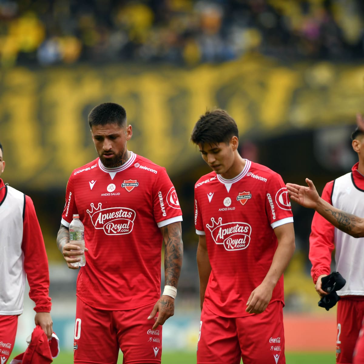 Golpe en Ñublense: jugador clave sufre rotura de ligamento y se perderá el resto de la temporada
