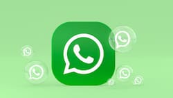 WhatsApp activará esta nueva función:  facilitará la comunicación entre los usuarios